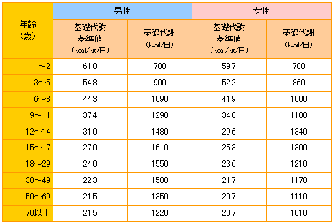 基礎代謝量目安